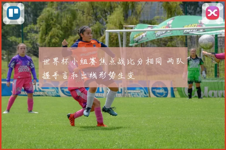 世界杯小组赛焦点战比分相同 两队握手言和出线形势生变