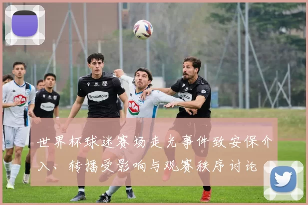世界杯球迷赛场走光事件致安保介入、转播受影响与观赛秩序讨论