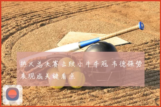 热火总决赛击败小牛夺冠 韦德强势表现成关键看点