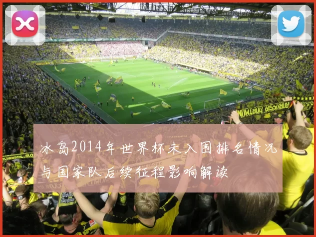 冰岛2014年世界杯未入围排名情况与国家队后续征程影响解读
