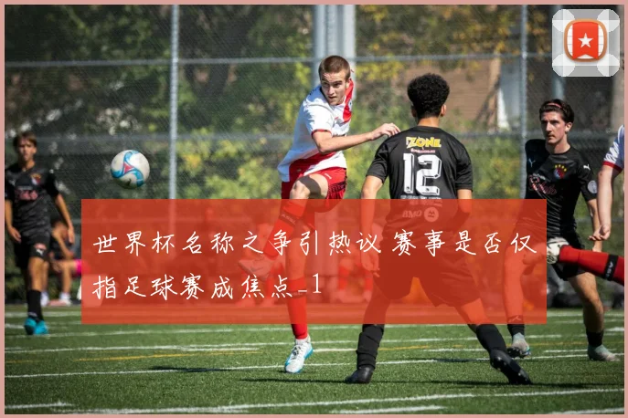 世界杯名称之争引热议 赛事是否仅指足球赛成焦点_1